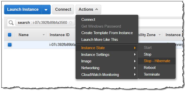 Hibernate EC2 instances